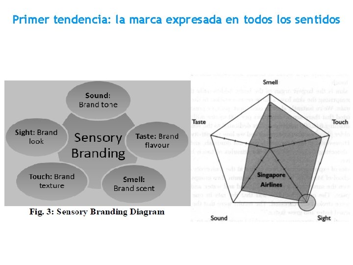 Primer tendencia: la marca expresada en todos los sentidos 