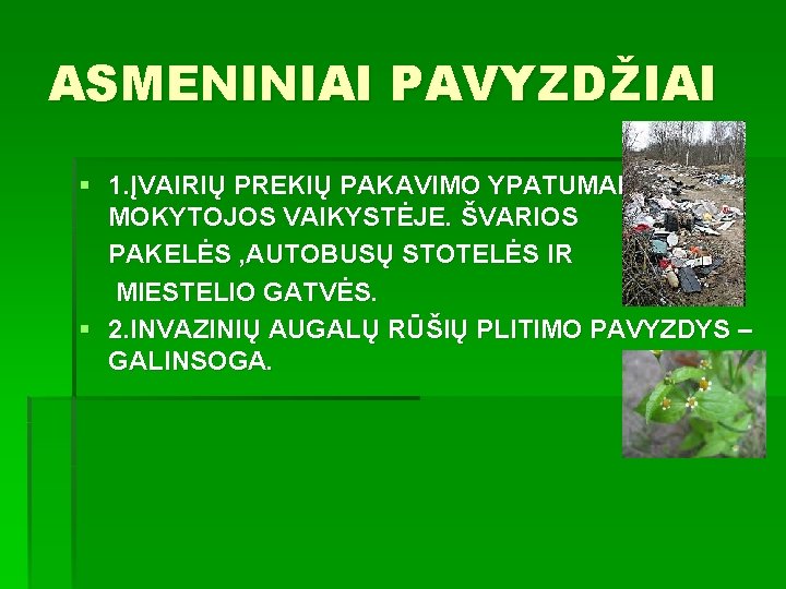 ASMENINIAI PAVYZDŽIAI § 1. ĮVAIRIŲ PREKIŲ PAKAVIMO YPATUMAI MOKYTOJOS VAIKYSTĖJE. ŠVARIOS PAKELĖS , AUTOBUSŲ