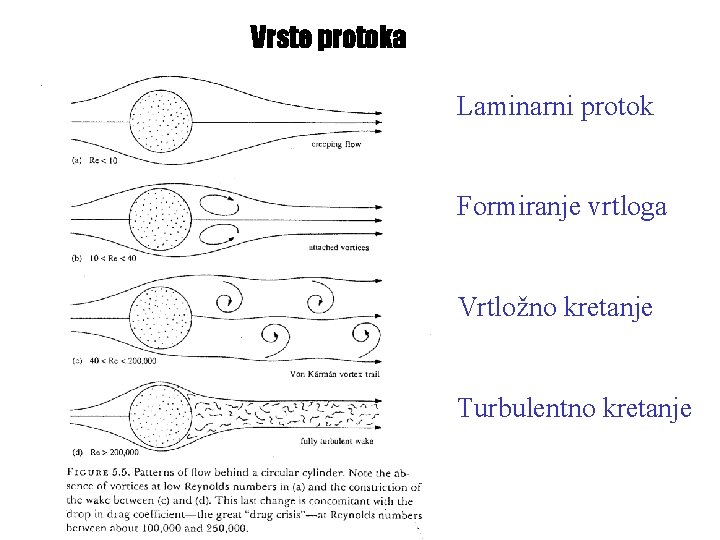Vrste protoka Laminarni protok Formiranje vrtloga Vrtložno kretanje Turbulentno kretanje 