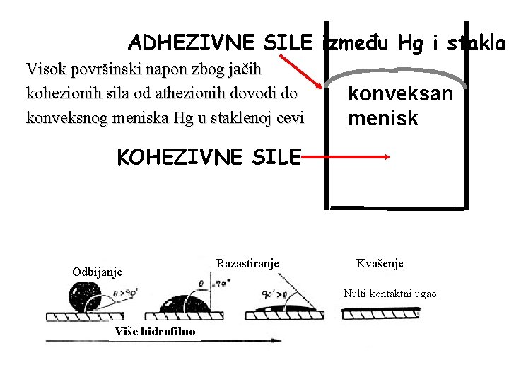 ADHEZIVNE SILE između Hg i stakla Visok površinski napon zbog jačih kohezionih sila od