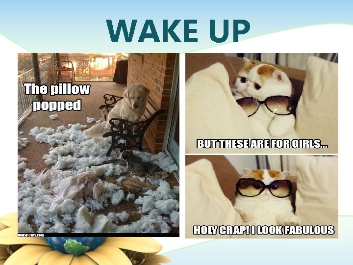 WAKE UP 