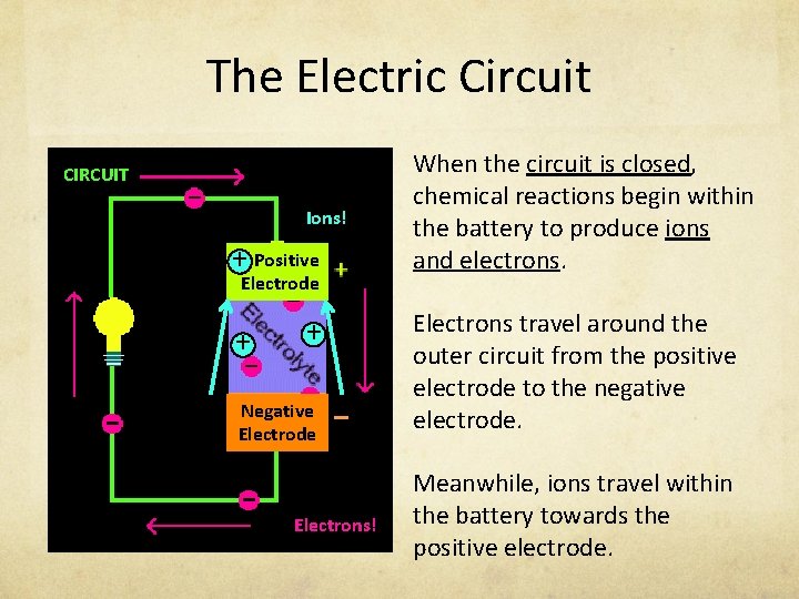 The Electric Circuit CIRCUIT Ions! + Positive Electrode + + Negative Electrode Electrons! When