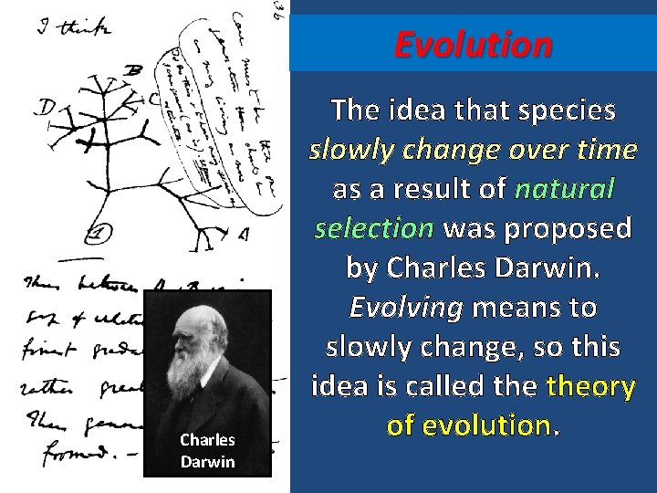 Evolution Charles Darwin The idea that species slowly change over time as a result