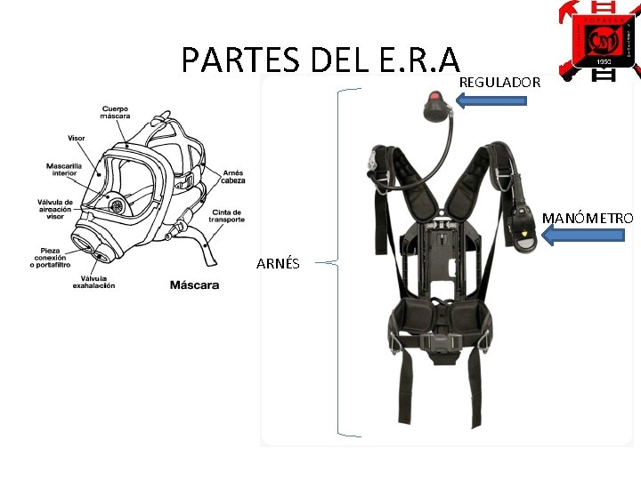 PARTES DEL E. R. AREGULADOR MANÓMETRO ARNÉS 