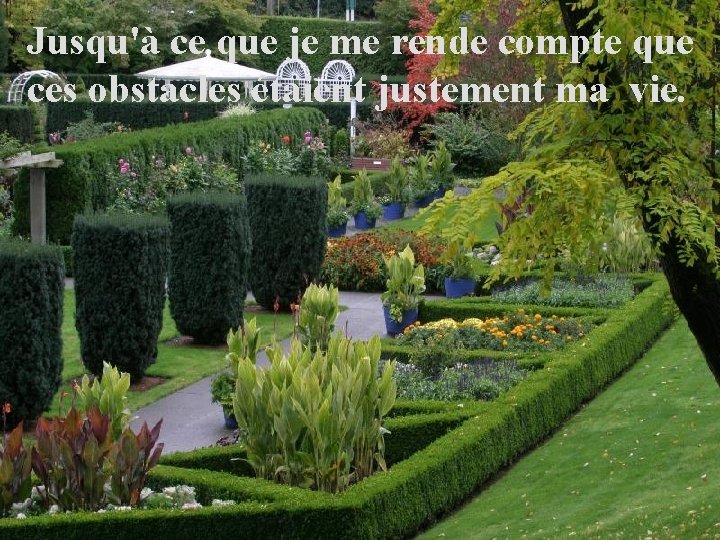 Jusqu'à ce que je me rende compte que ces obstacles étaient justement ma vie.