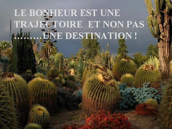 LE BONHEUR EST UNE TRAJECTOIRE ET NON PAS ………UNE DESTINATION ! 