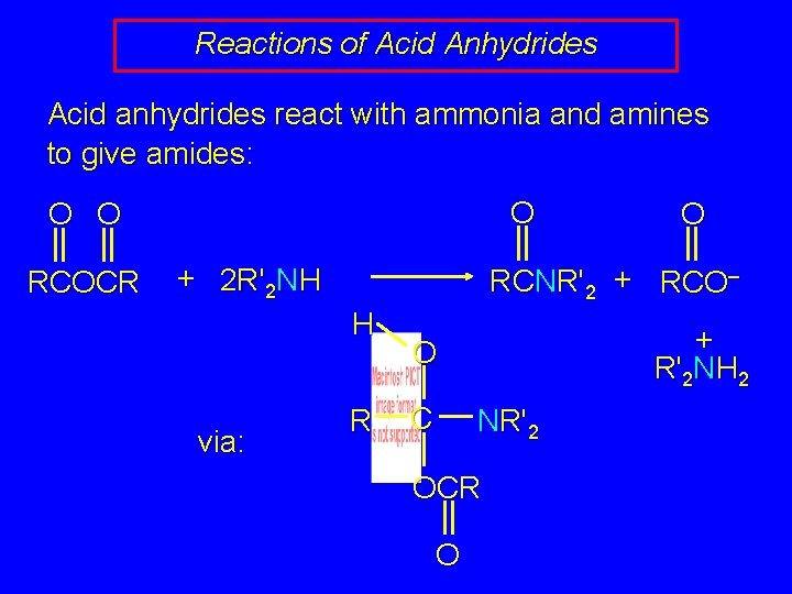 Reactions of Acid Anhydrides Acid anhydrides react with ammonia and amines to give amides: