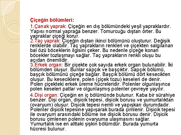 Çiçeğin bölümleri: 1. Çanak yaprak: Çiçeğin en dış bölümündeki yeşil yapraklardır. Yapısı normal yaprağa