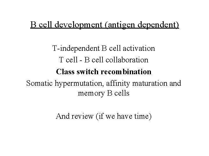 B cell development (antigen dependent) T-independent B cell activation T cell - B cell