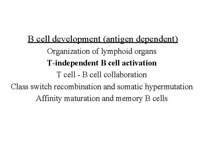 B cell development (antigen dependent) Organization of lymphoid organs T-independent B cell activation T