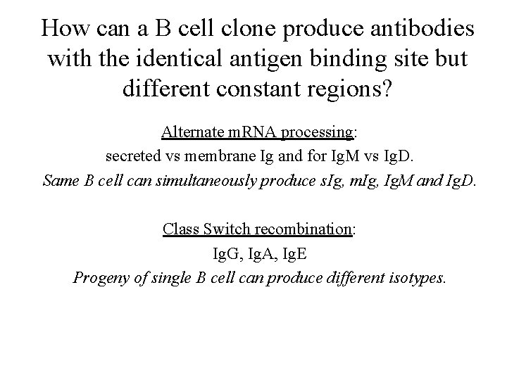 How can a B cell clone produce antibodies with the identical antigen binding site