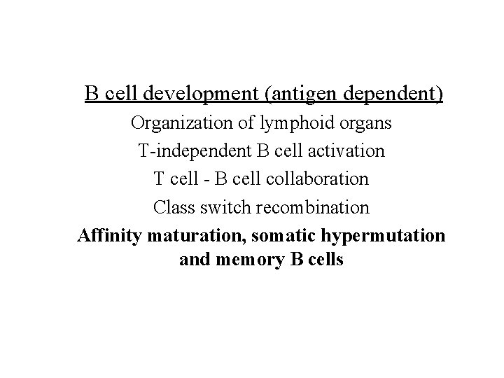 B cell development (antigen dependent) Organization of lymphoid organs T-independent B cell activation T