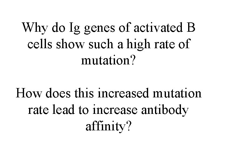 Why do Ig genes of activated B cells show such a high rate of
