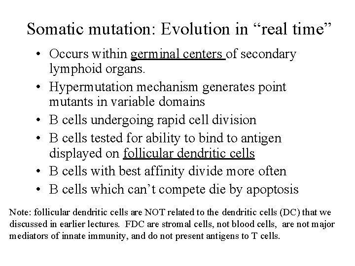 Somatic mutation: Evolution in “real time” • Occurs within germinal centers of secondary lymphoid