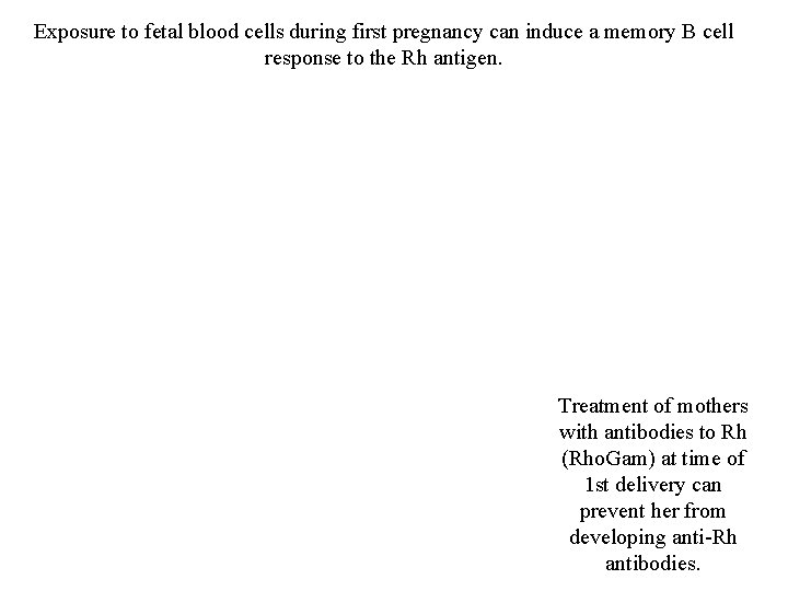 Exposure to fetal blood cells during first pregnancy can induce a memory B cell