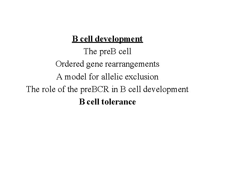 B cell development The pre. B cell Ordered gene rearrangements A model for allelic