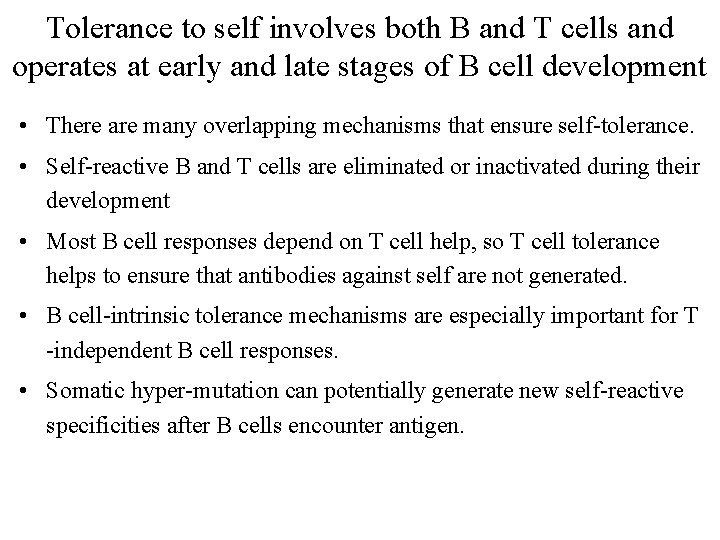 Tolerance to self involves both B and T cells and operates at early and