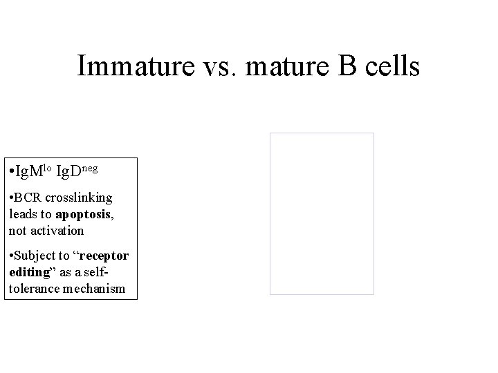 Immature vs. mature B cells • Ig. Mlo Ig. Dneg • BCR crosslinking leads