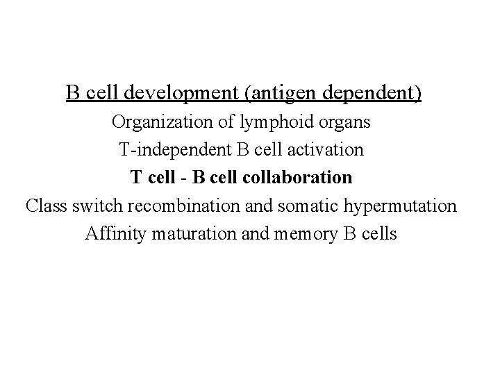 B cell development (antigen dependent) Organization of lymphoid organs T-independent B cell activation T