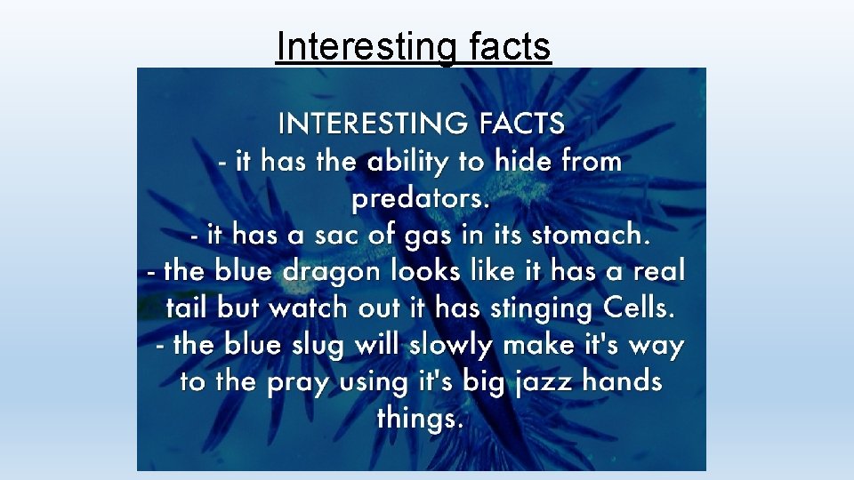 Interesting facts 
