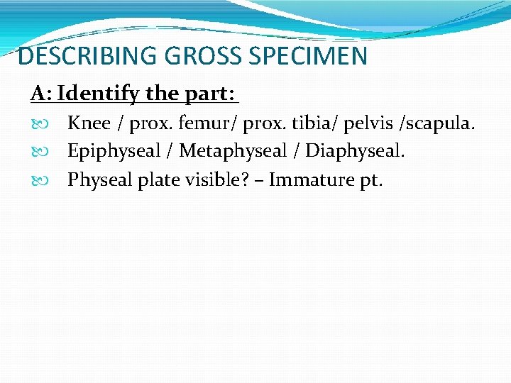 DESCRIBING GROSS SPECIMEN A: Identify the part: Knee / prox. femur/ prox. tibia/ pelvis