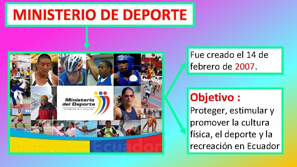 MINISTERIO DE DEPORTE Fue creado el 14 de febrero de 2007. Objetivo : Proteger,