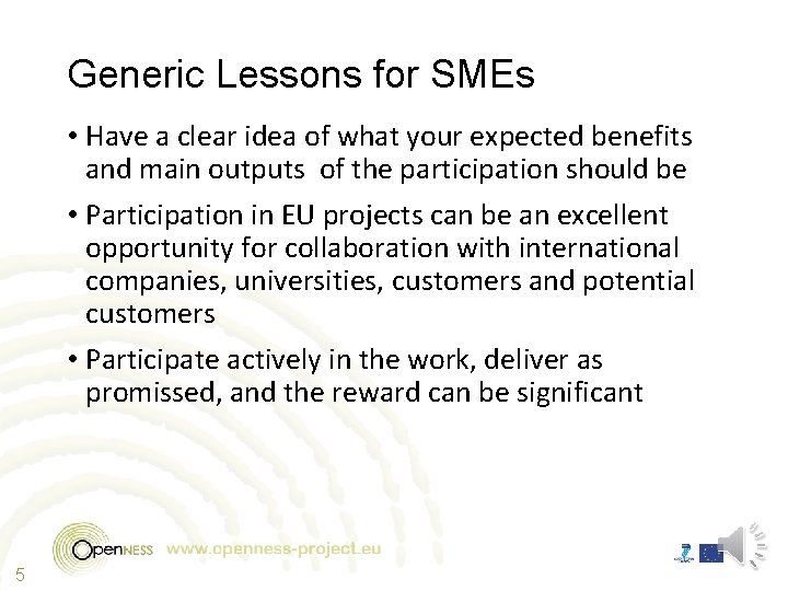 Generic Lessons for SMEs • Have a clear idea of what your expected benefits