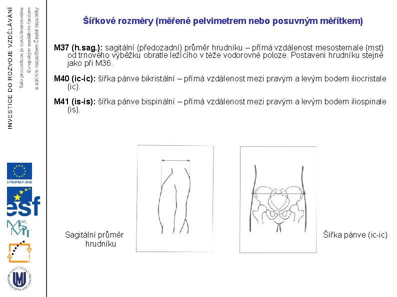Šířkové rozměry (měřené pelvimetrem nebo posuvným měřítkem) M 37 (h. sag. ): sagitální (předozadní)