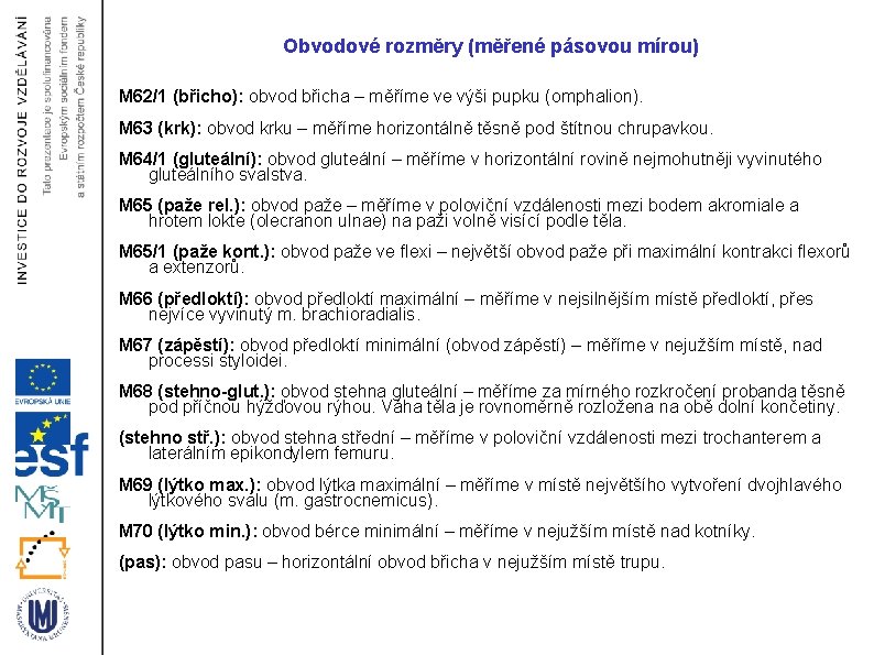 Obvodové rozměry (měřené pásovou mírou) M 62/1 (břicho): obvod břicha – měříme ve výši