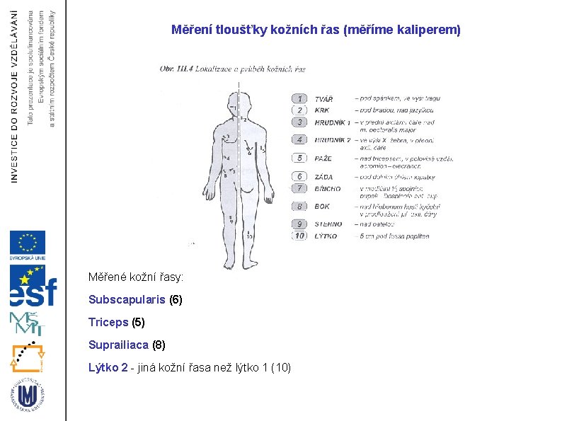 Měření tloušťky kožních řas (měříme kaliperem) Měřené kožní řasy: Subscapularis (6) Triceps (5) Suprailiaca