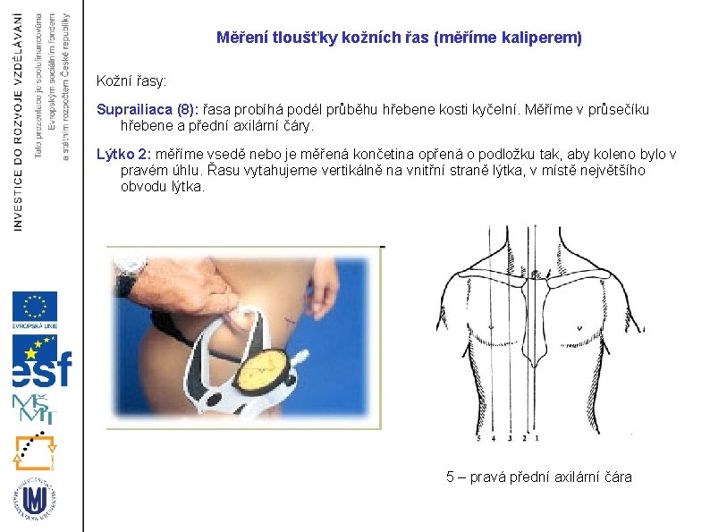 Měření tloušťky kožních řas (měříme kaliperem) Kožní řasy: Suprailiaca (8): řasa probíhá podél průběhu