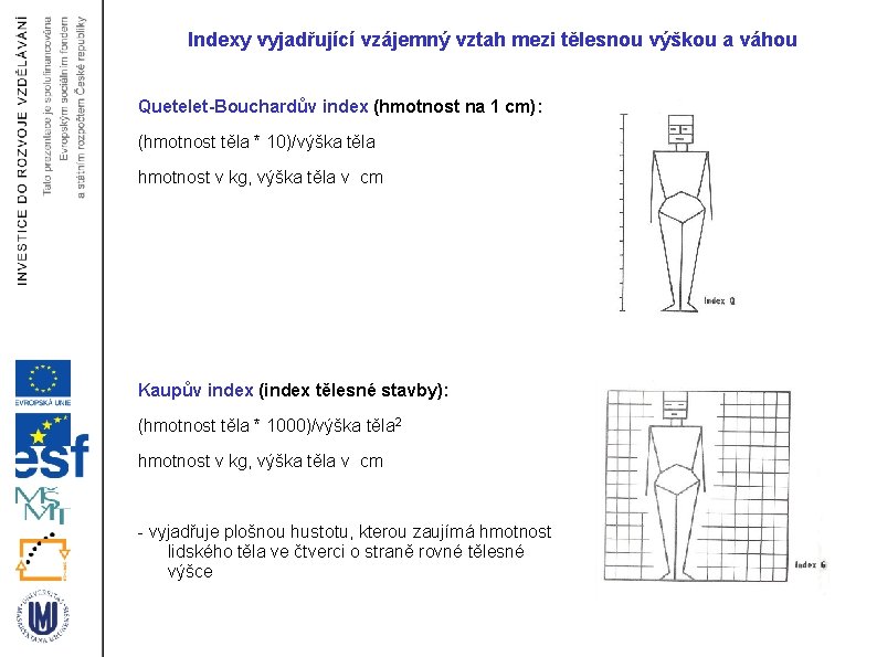 Indexy vyjadřující vzájemný vztah mezi tělesnou výškou a váhou Quetelet-Bouchardův index (hmotnost na 1