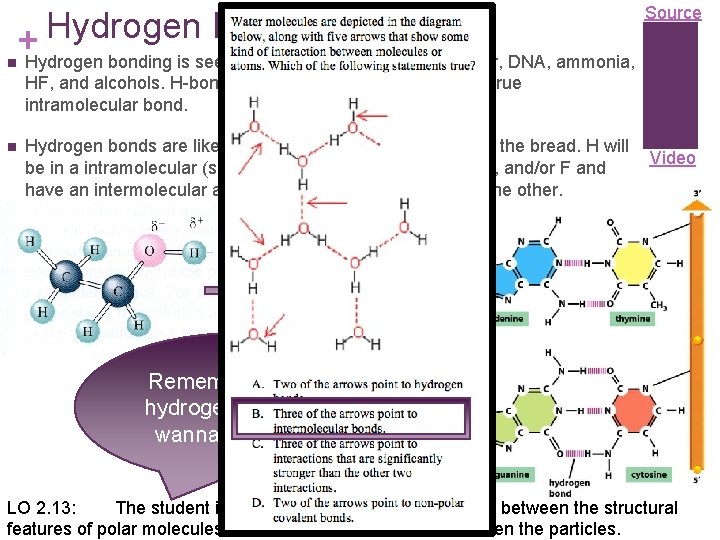 Hydrogen Bonding + Source n Hydrogen bonding is seen in the following molecules: water,