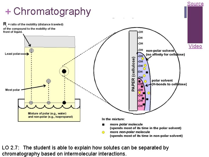 + Chromatography Source Video LO 2. 7: The student is able to explain how