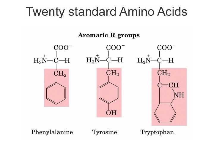 Bagian Kimia Pangan - Dept ITP 210 Kimia Pangan 