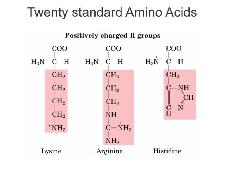 Bagian Kimia Pangan - Dept ITP 210 Kimia Pangan 