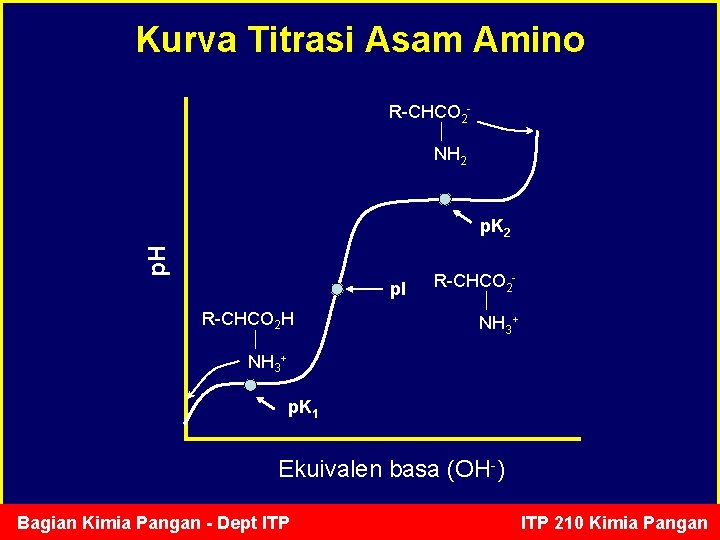 Kurva Titrasi Asam Amino R-CHCO 2 NH 2 p. H p. K 2 p.