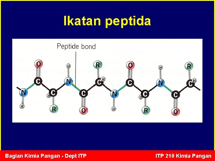 Ikatan peptida Bagian Kimia Pangan - Dept ITP 210 Kimia Pangan 