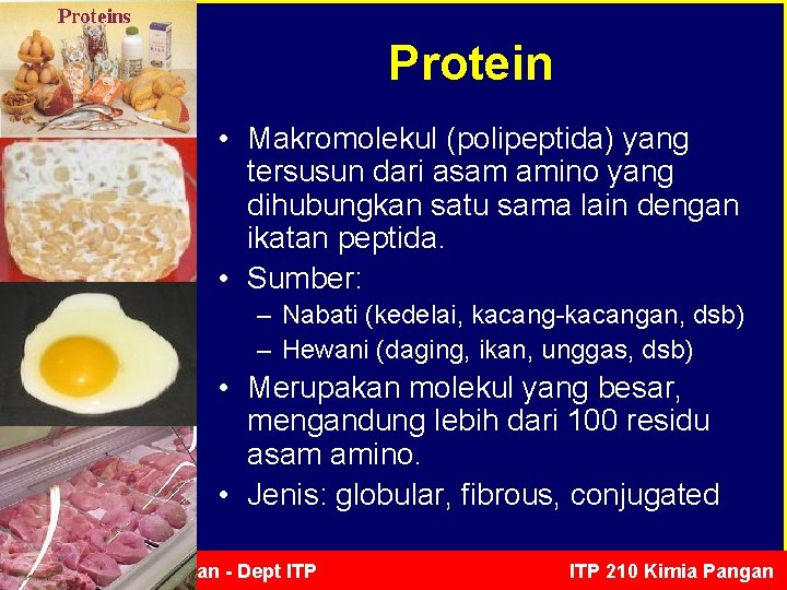 Protein • Makromolekul (polipeptida) yang tersusun dari asam amino yang dihubungkan satu sama lain