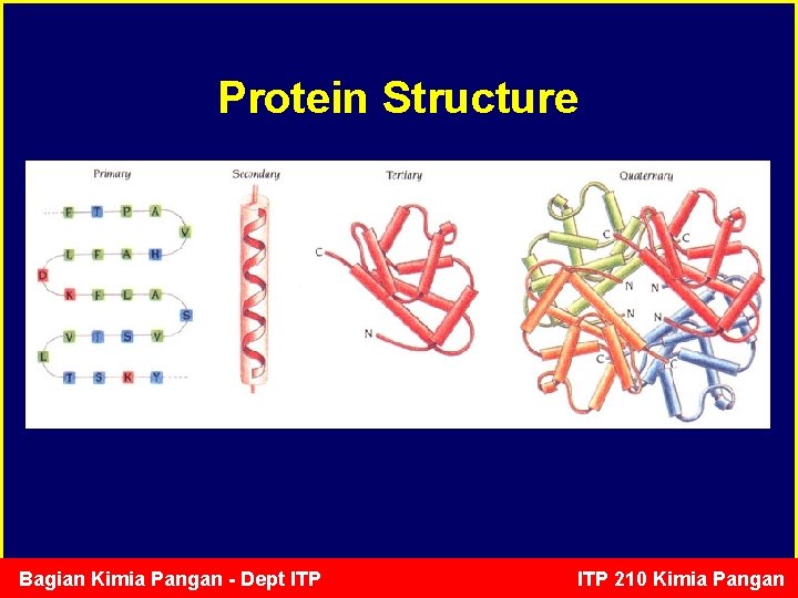 Protein Structure Bagian Kimia Pangan - Dept ITP 210 Kimia Pangan 