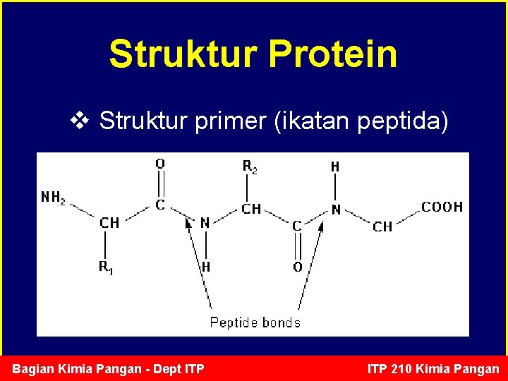 Struktur Protein v Struktur primer (ikatan peptida) Bagian Kimia Pangan - Dept ITP 210