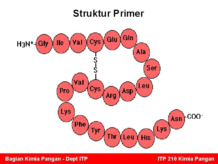 Struktur Primer Bagian Kimia Pangan - Dept ITP 210 Kimia Pangan 