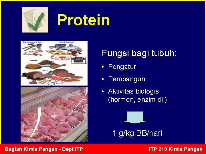 Protein Fungsi bagi tubuh: • Pengatur • Pembangun • Aktivitas biologis (hormon, enzim dll)