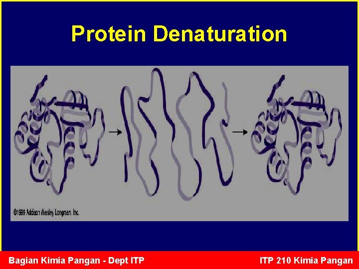 Protein Denaturation Bagian Kimia Pangan - Dept ITP 210 Kimia Pangan 