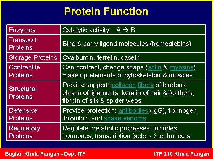 Protein Function Enzymes Catalytic activity A B Transport Proteins Bind & carry ligand molecules