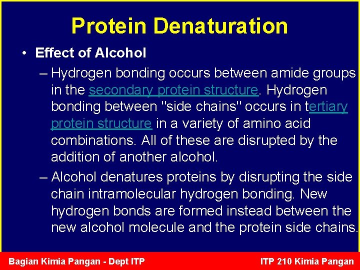 Protein Denaturation • Effect of Alcohol – Hydrogen bonding occurs between amide groups in