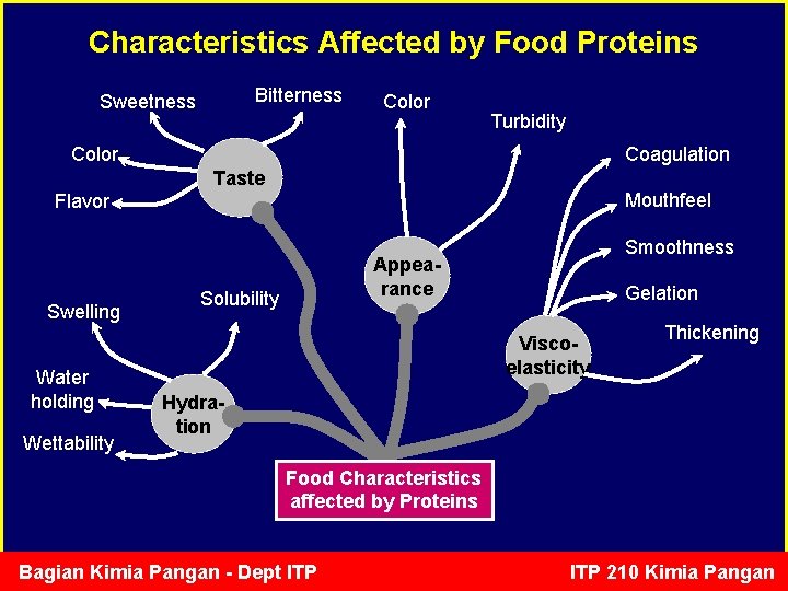 Characteristics Affected by Food Proteins Bitterness Sweetness Color Turbidity Color Coagulation Taste Mouthfeel Flavor
