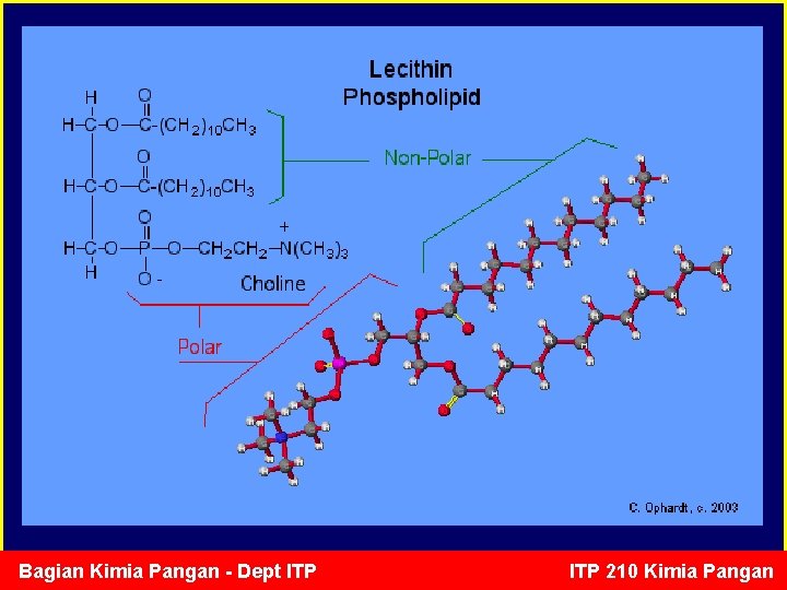 Bagian Kimia Pangan - Dept ITP 210 Kimia Pangan 