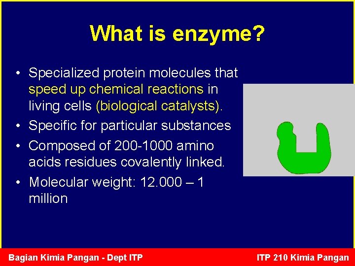 What is enzyme? • Specialized protein molecules that speed up chemical reactions in living