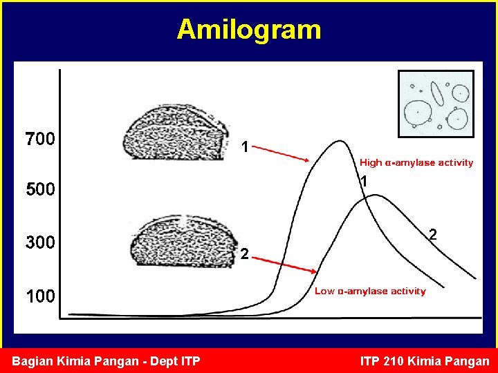 Amilogram Bagian Kimia Pangan - Dept ITP 210 Kimia Pangan 